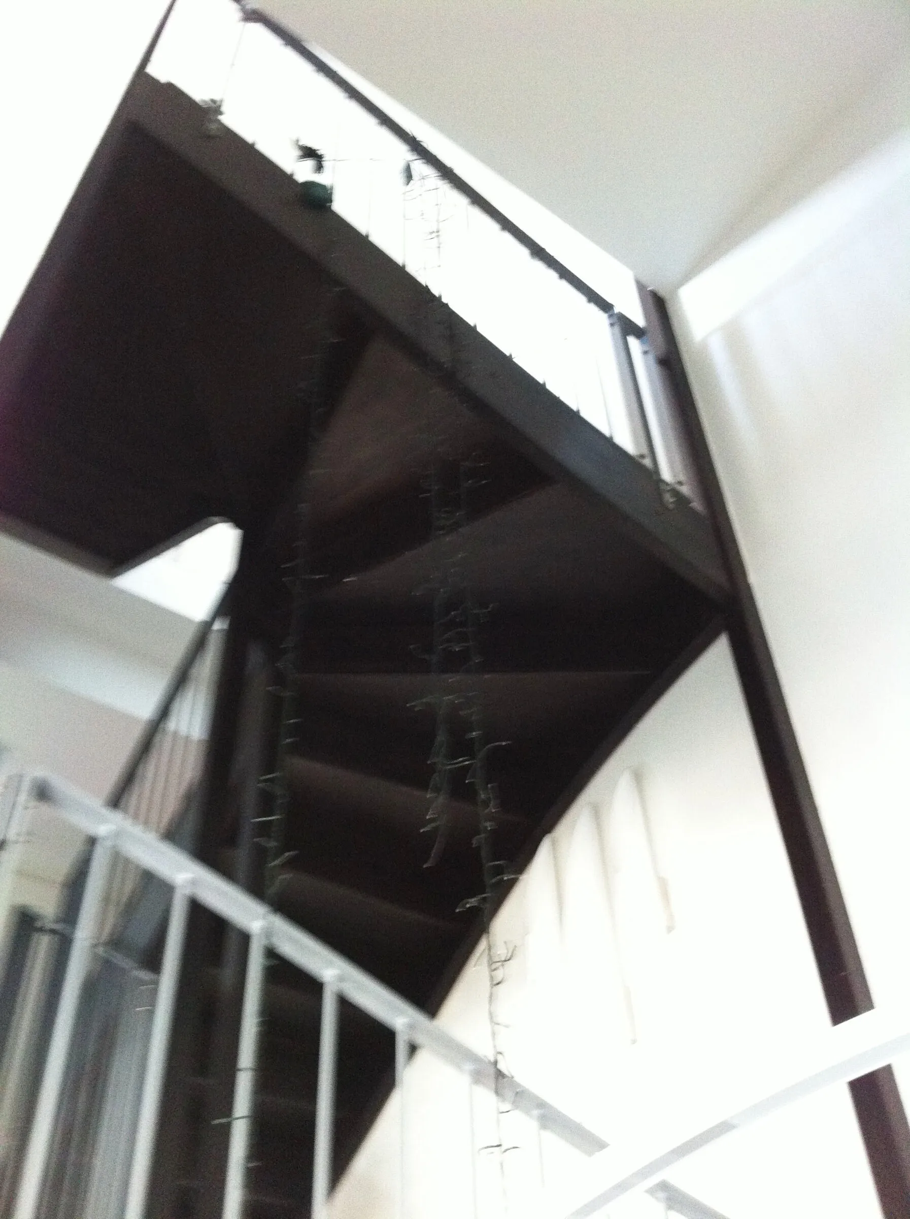 Triplex — image 11